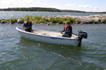 Terhi 440